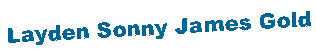 Text Box: Layden Sonny James Gold